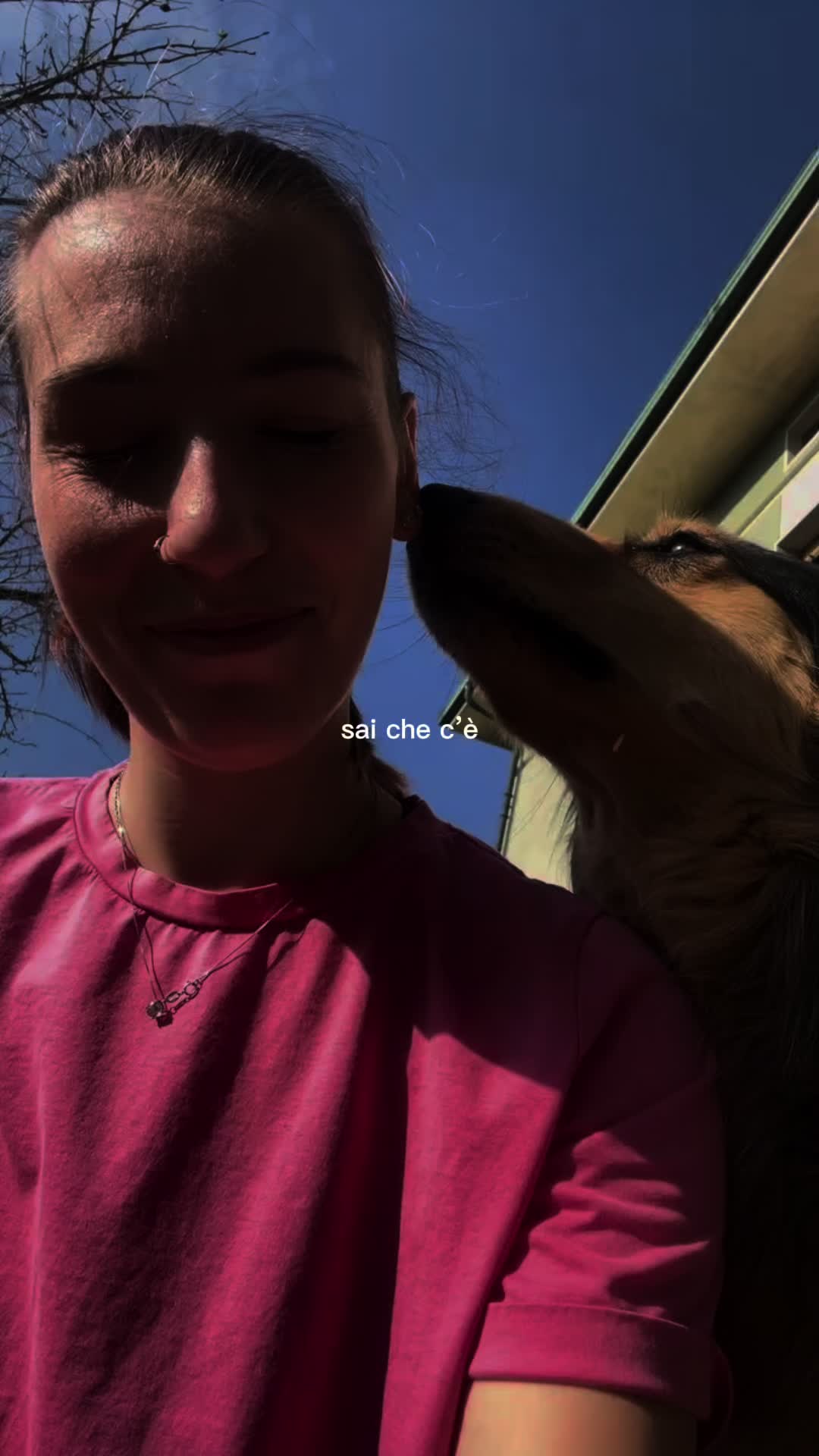 @noemilyl