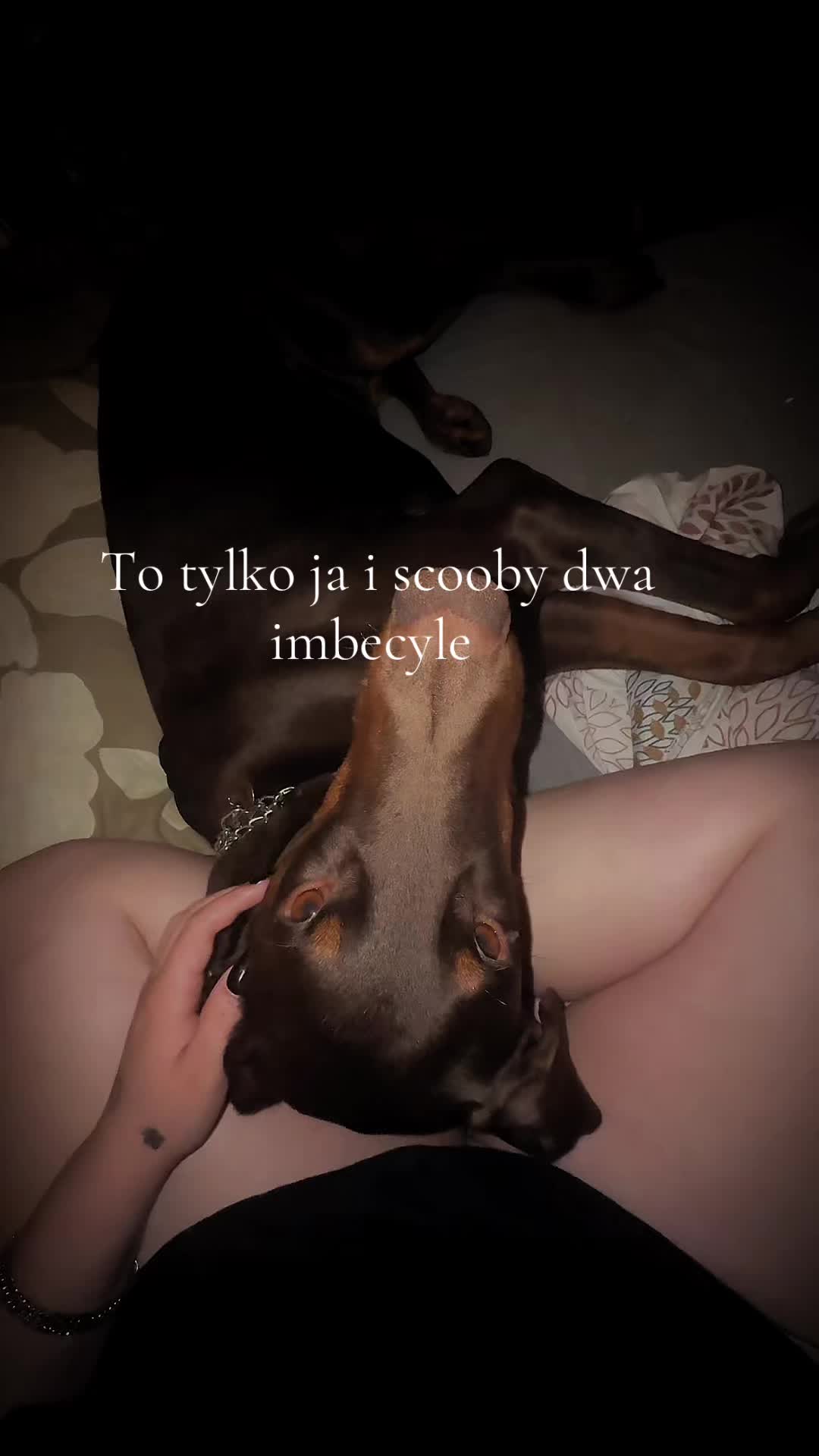 @06czarnula06