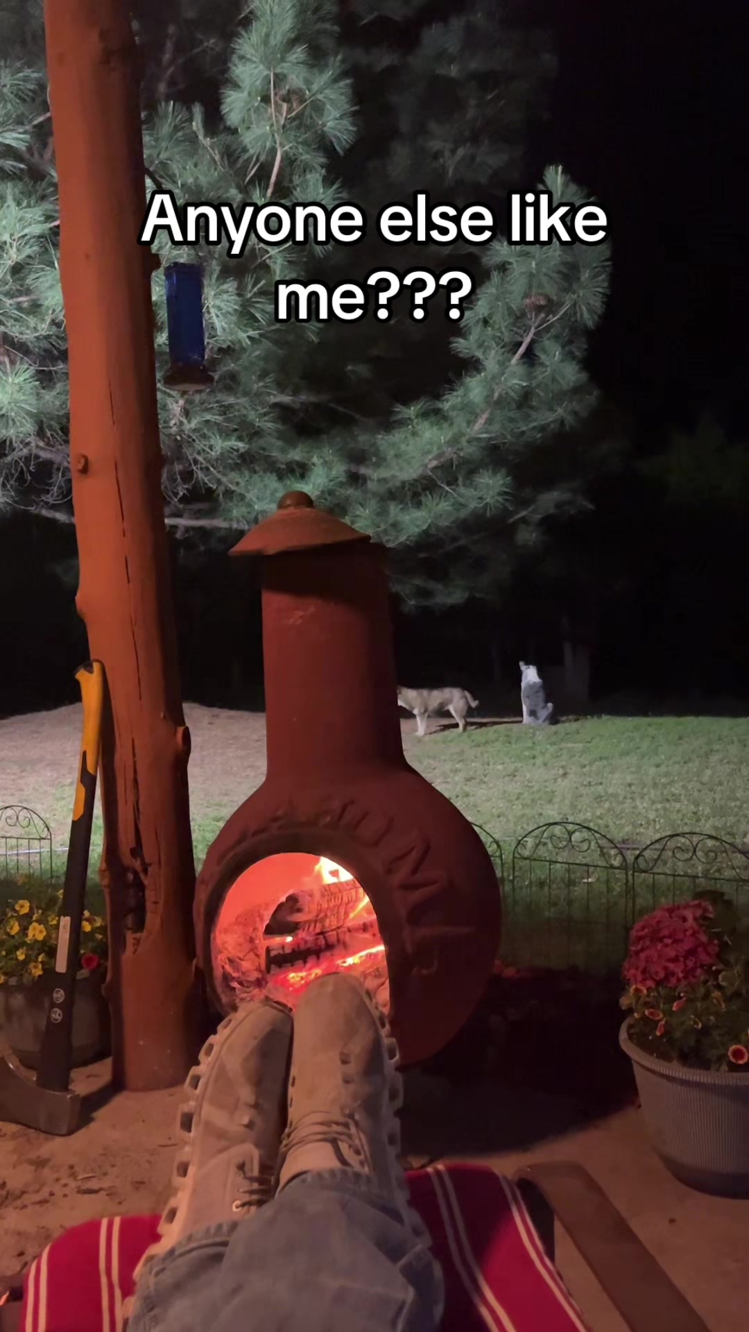 @ED