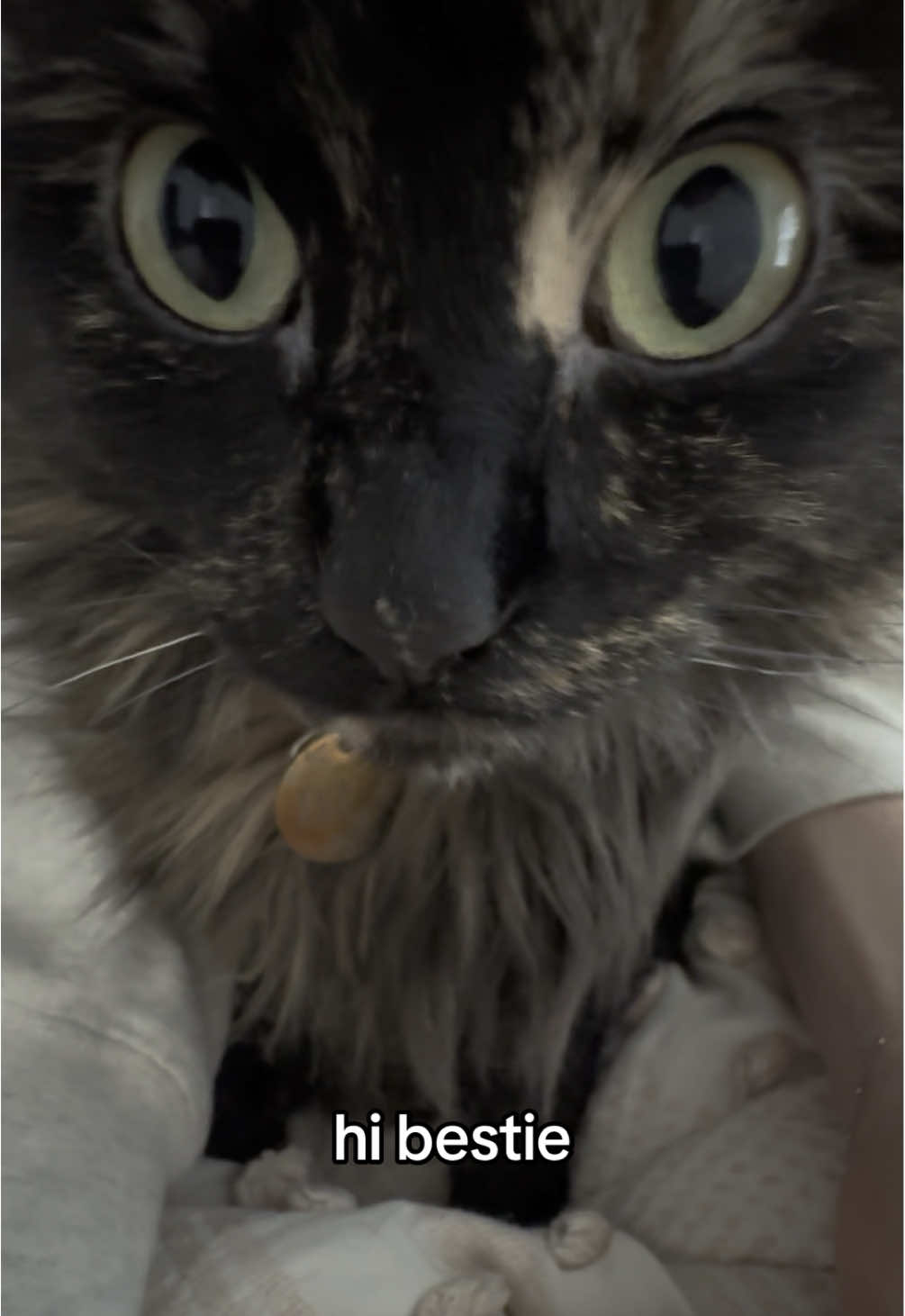 @Ava the cat and her mom