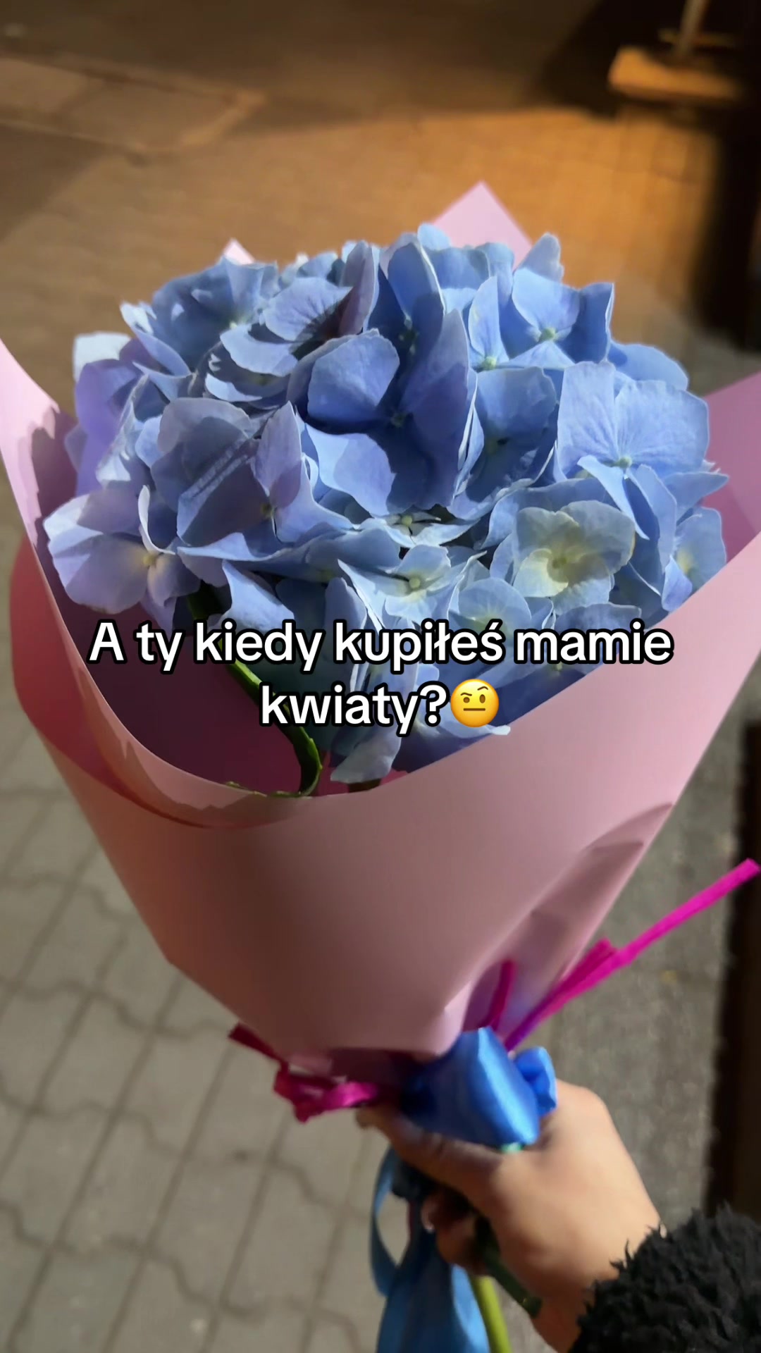 @aryasaphy