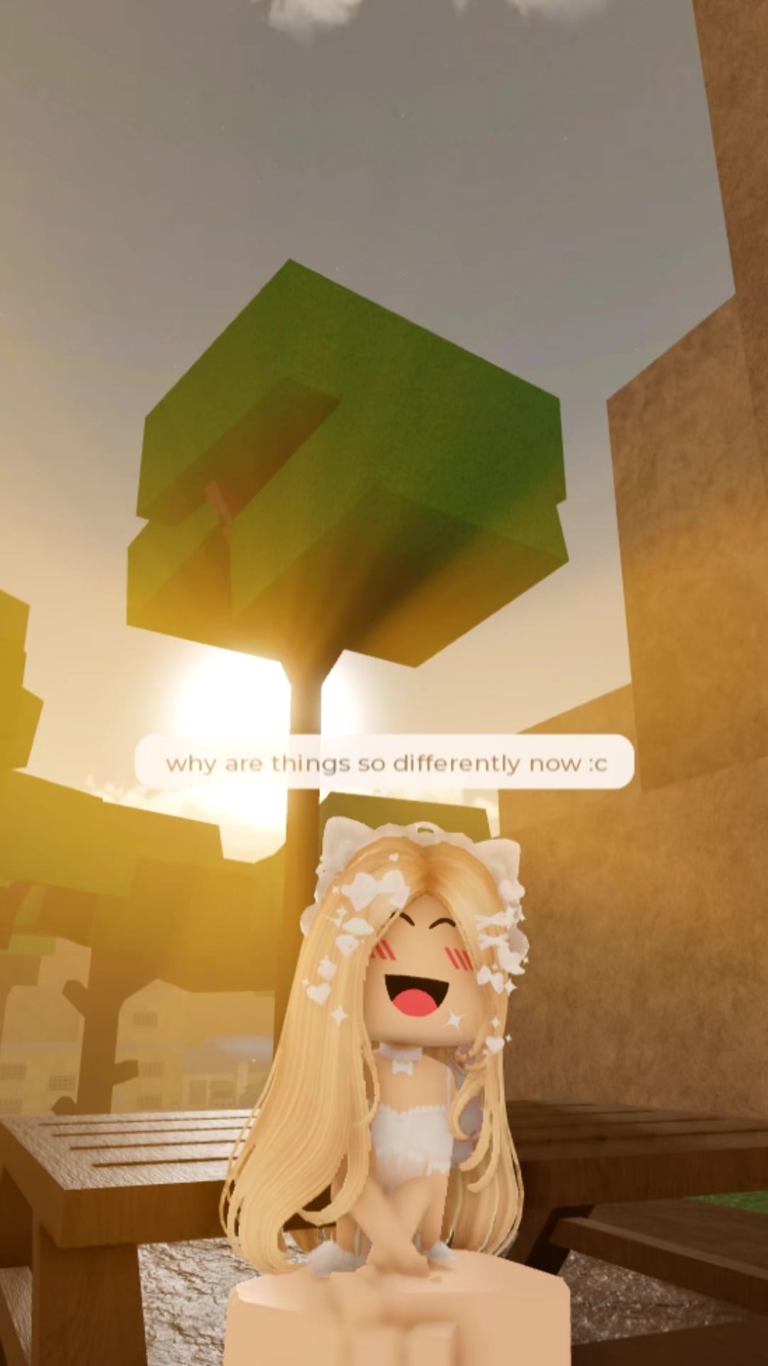 @ari 🦭