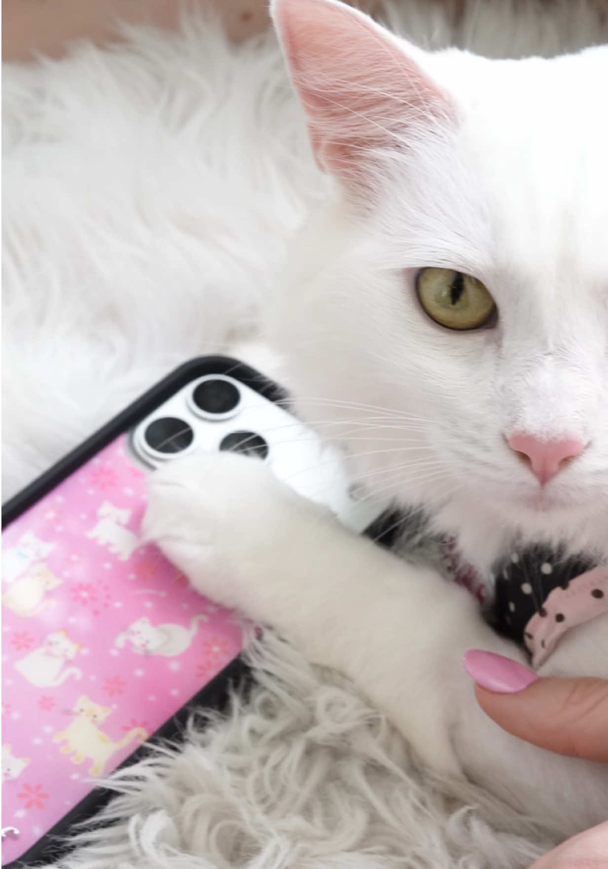 @Wildflower Cases