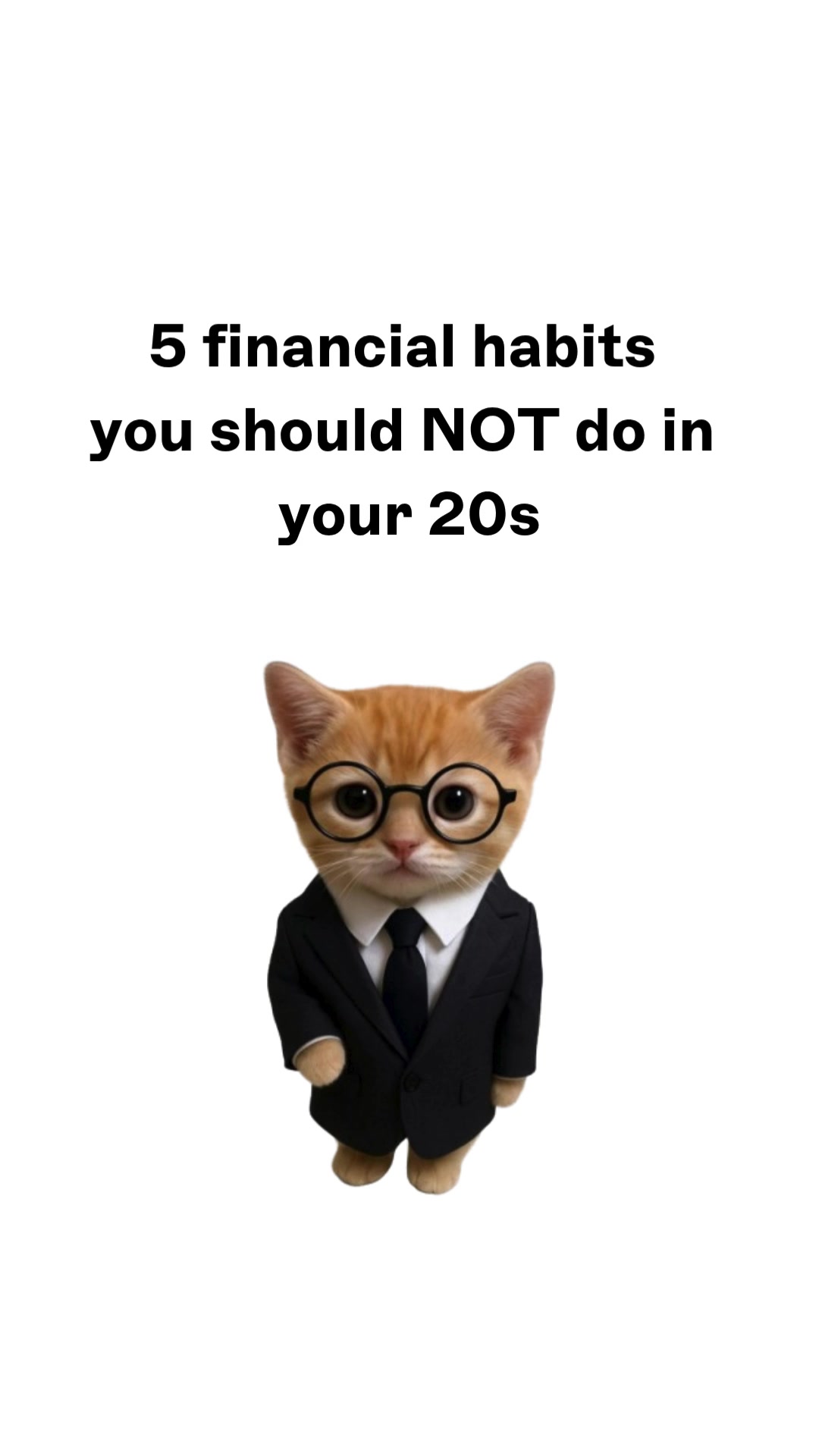 @wallstreetkitty
