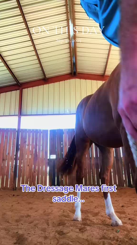 @Freedom Equestrian Center
