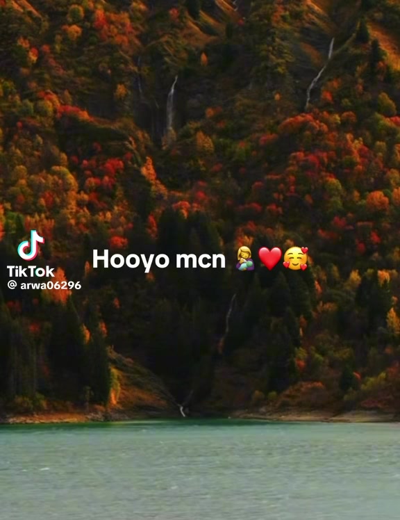 @sahromoalimqoriyo