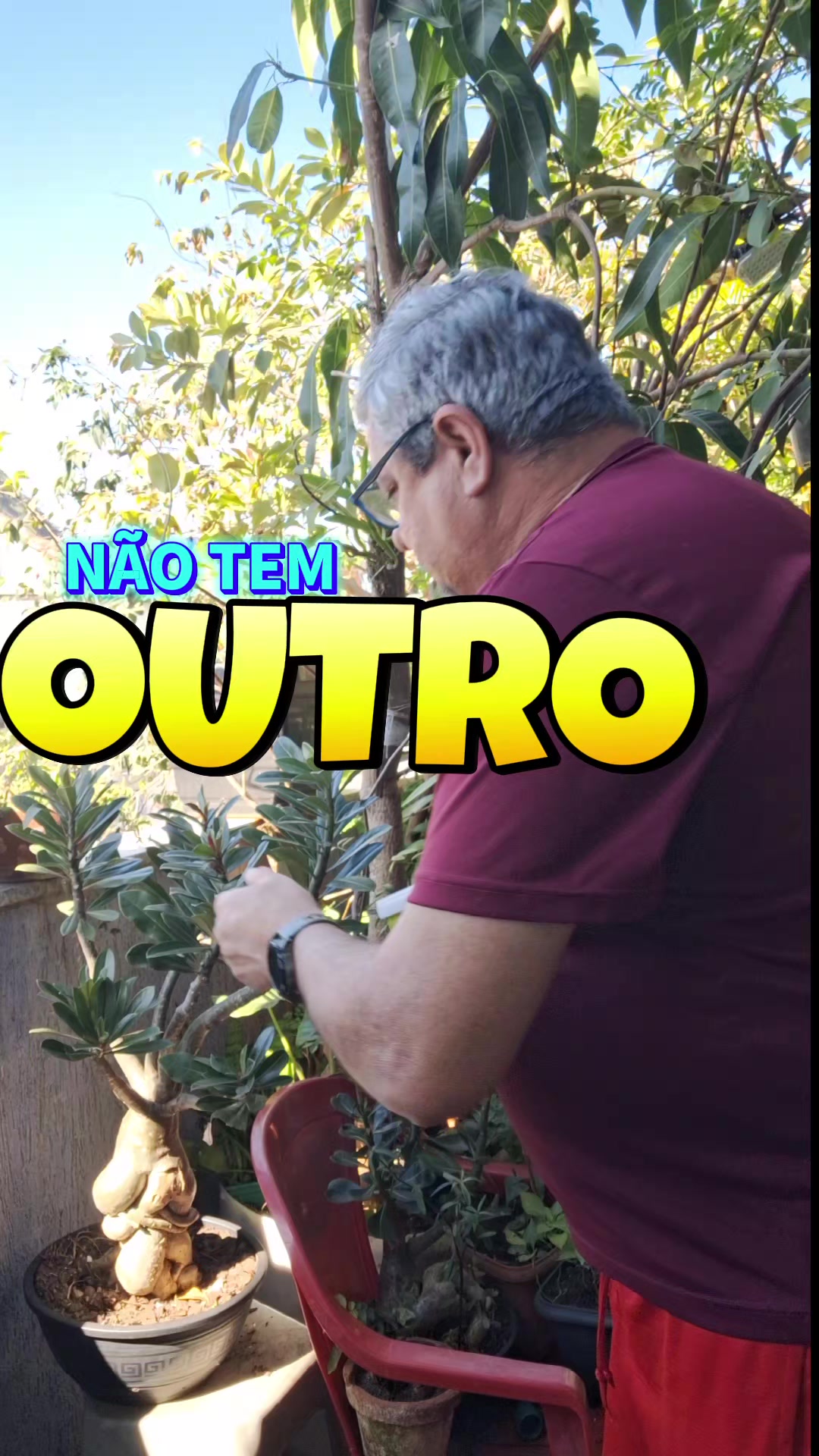 @ROÇA DO DRIM