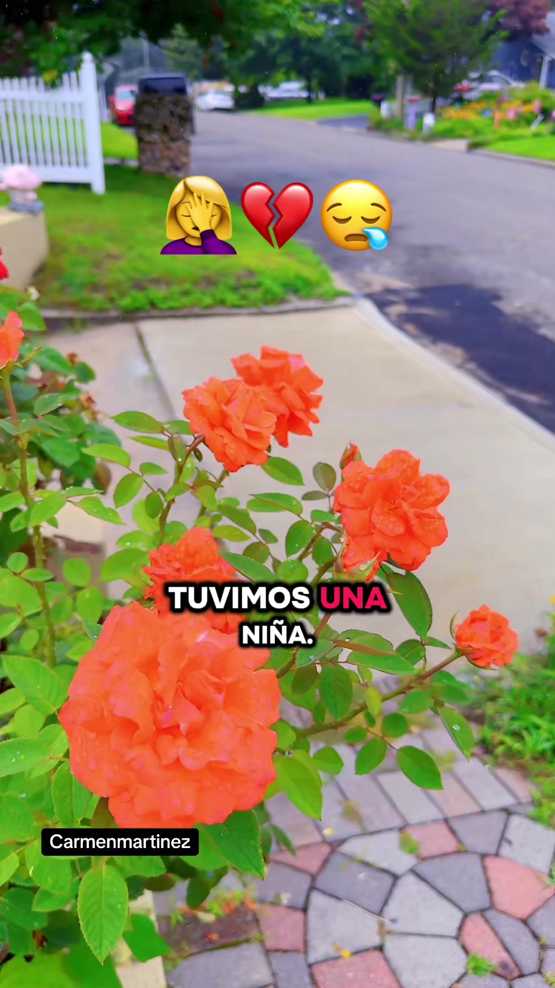 @Carmen Martinez