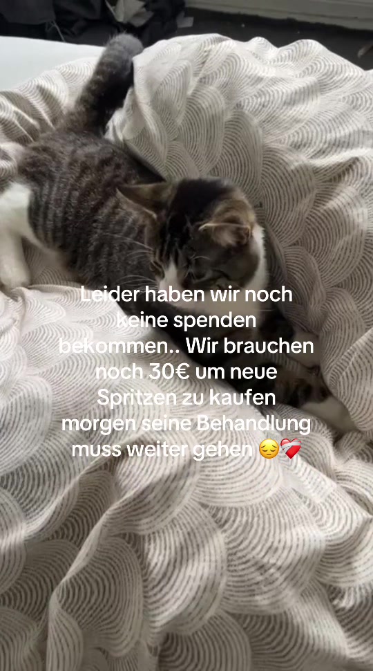 @helpsimba