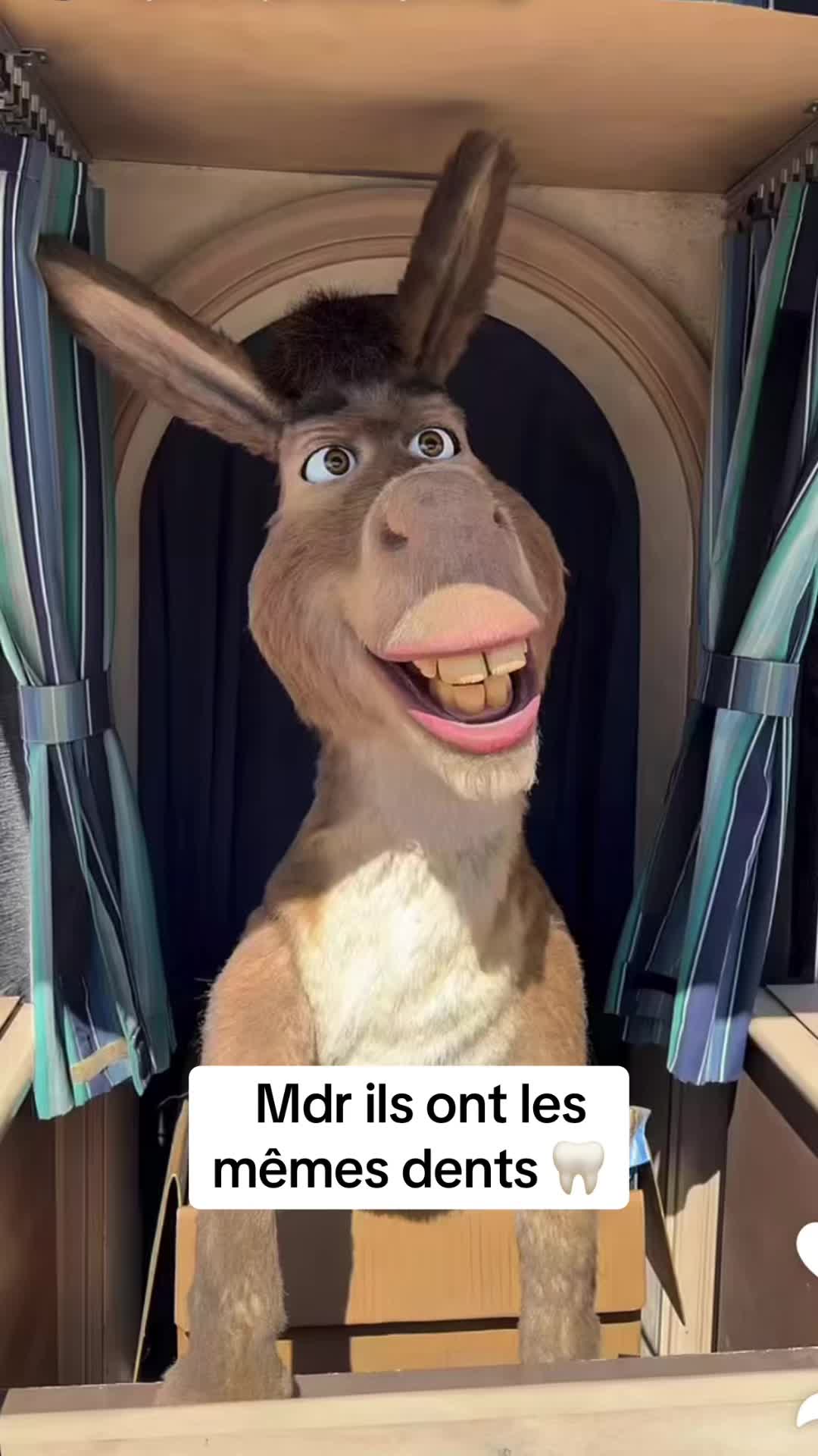 @redifinf