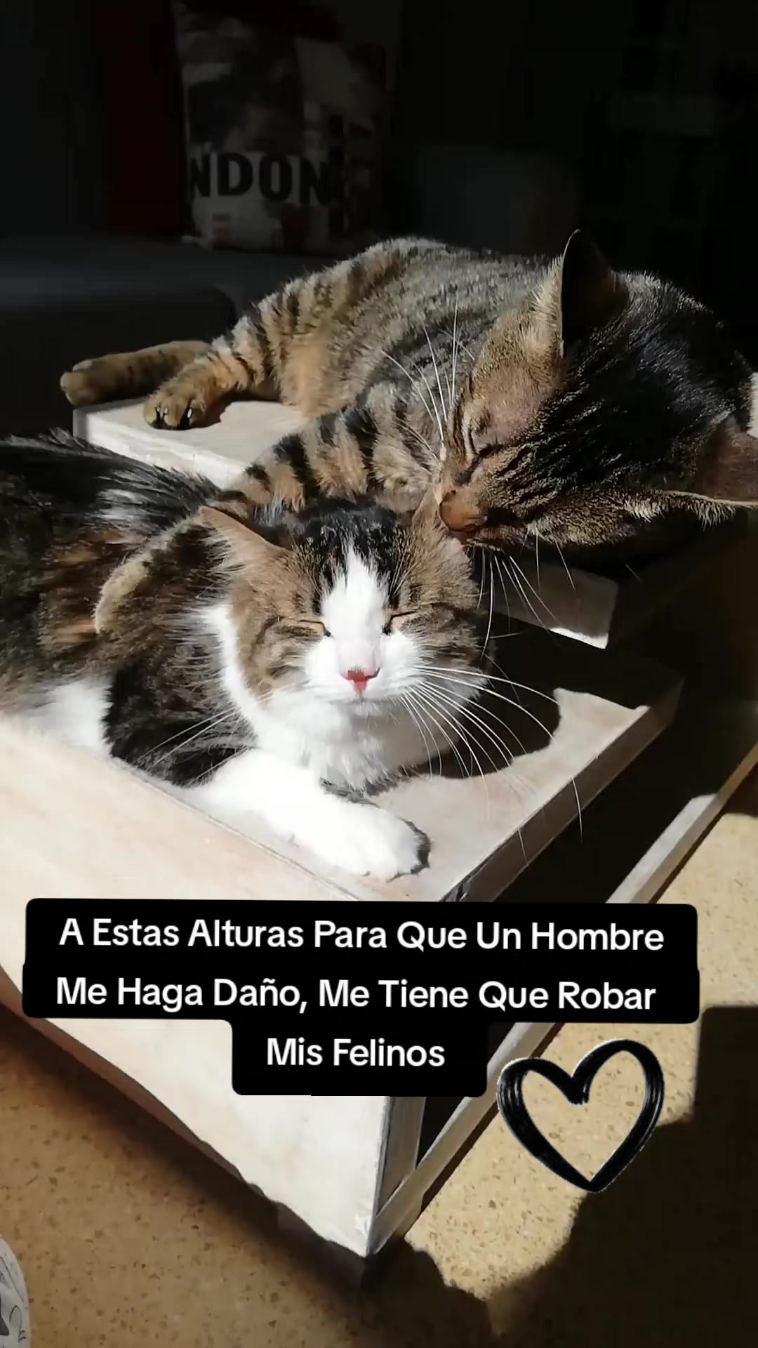@Olga C