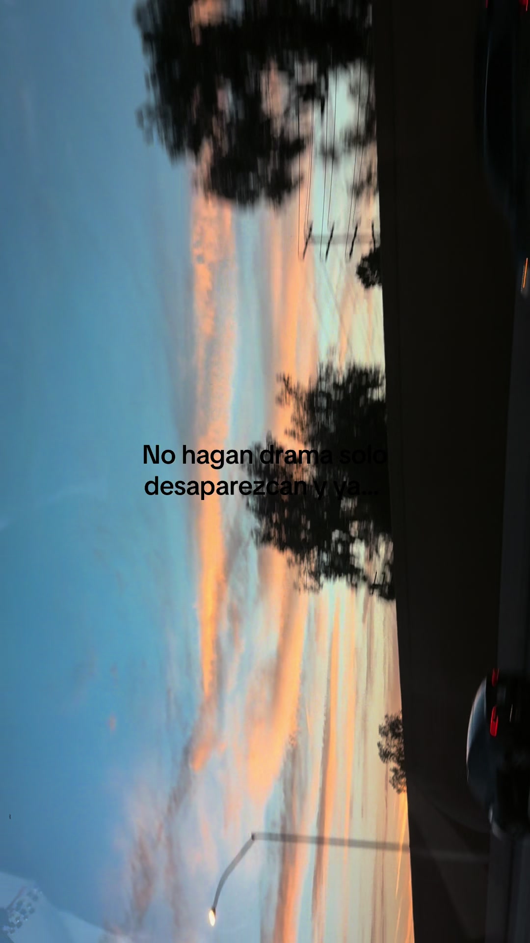 @Ivon León
