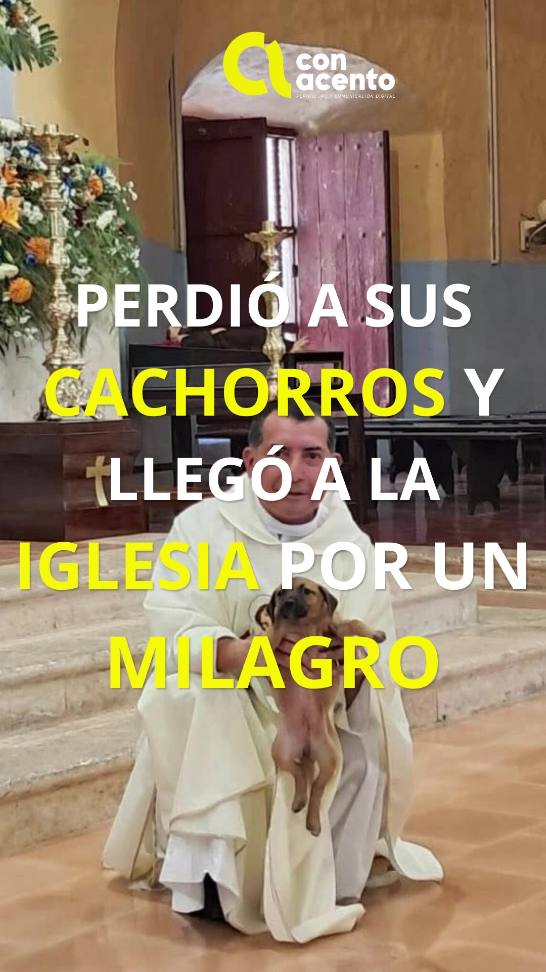 @Con Acento