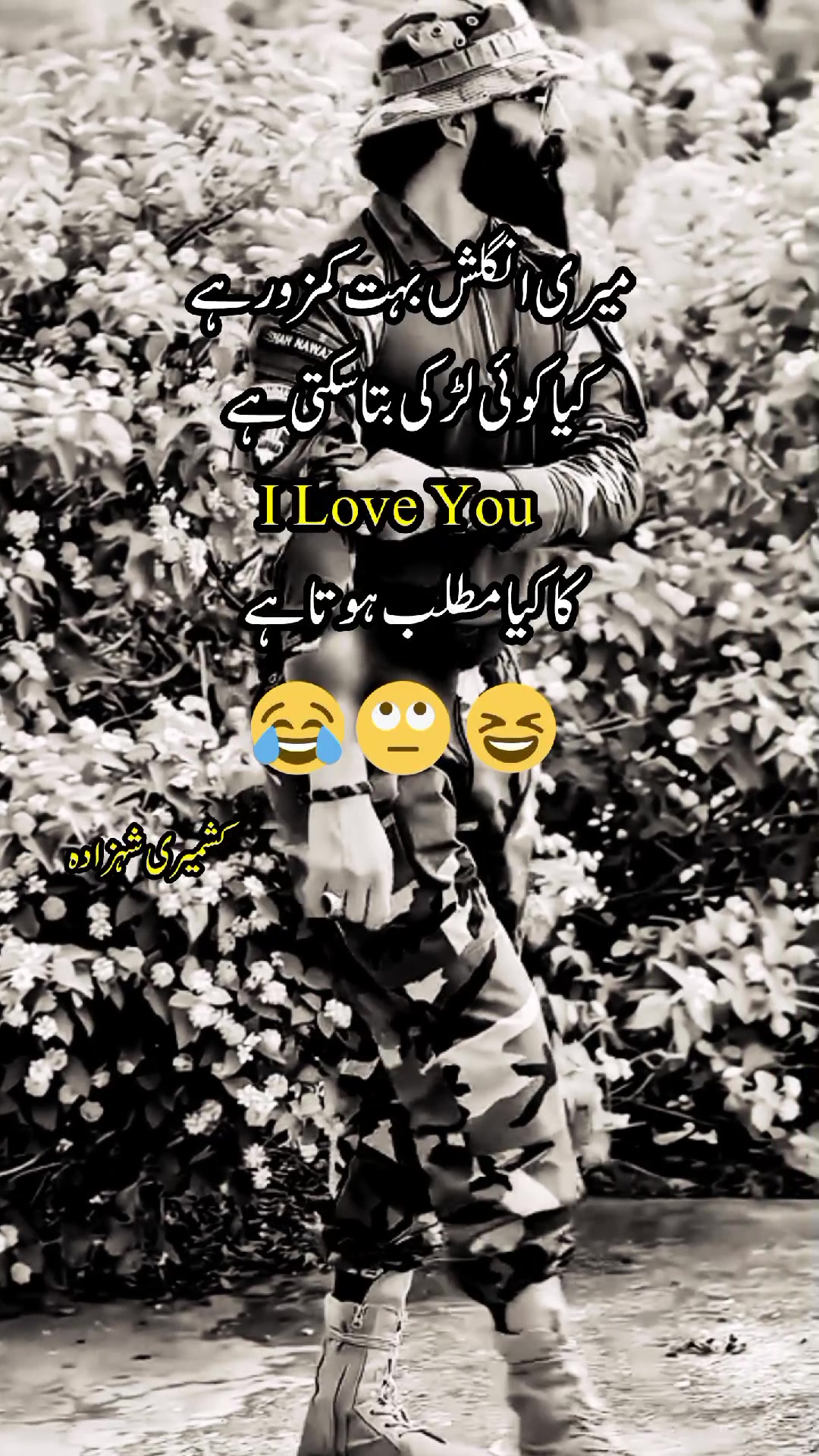@ₖₐₛₕₘᵢᵣᵢ ₛₕₐₕzₐdₐ