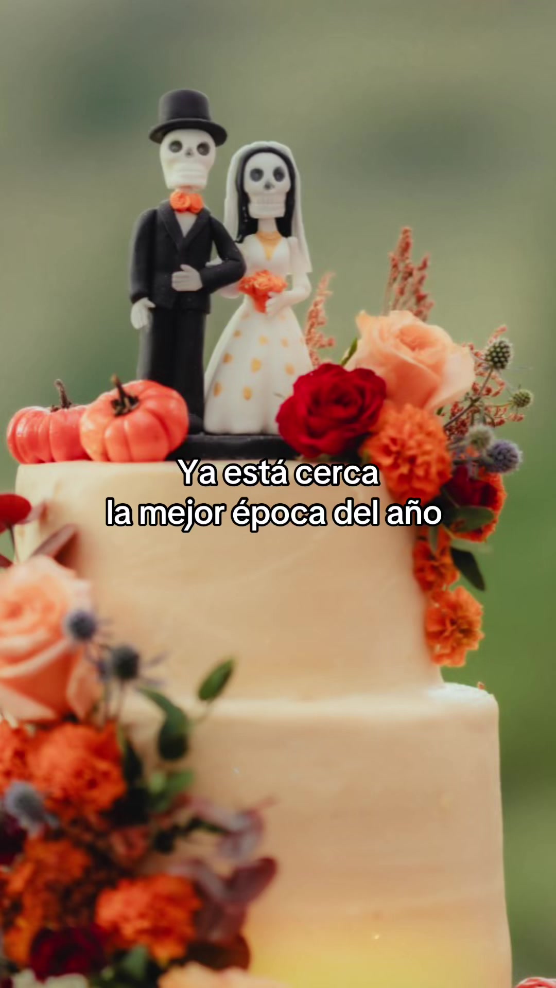 @Nya Nya Pastelería