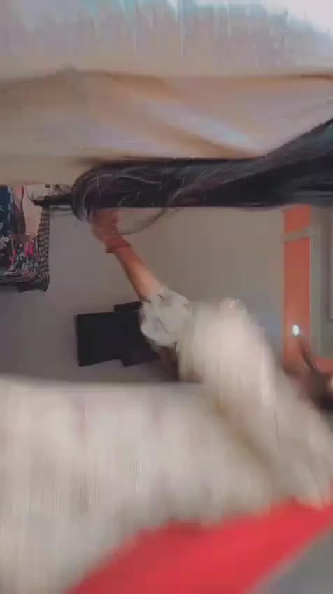 @ᥫ᭡ᯓ ᡣ𐭩ʚଓ꧁ᬊᬁᴀɴɢᴇʟᬊ᭄꧂ツ