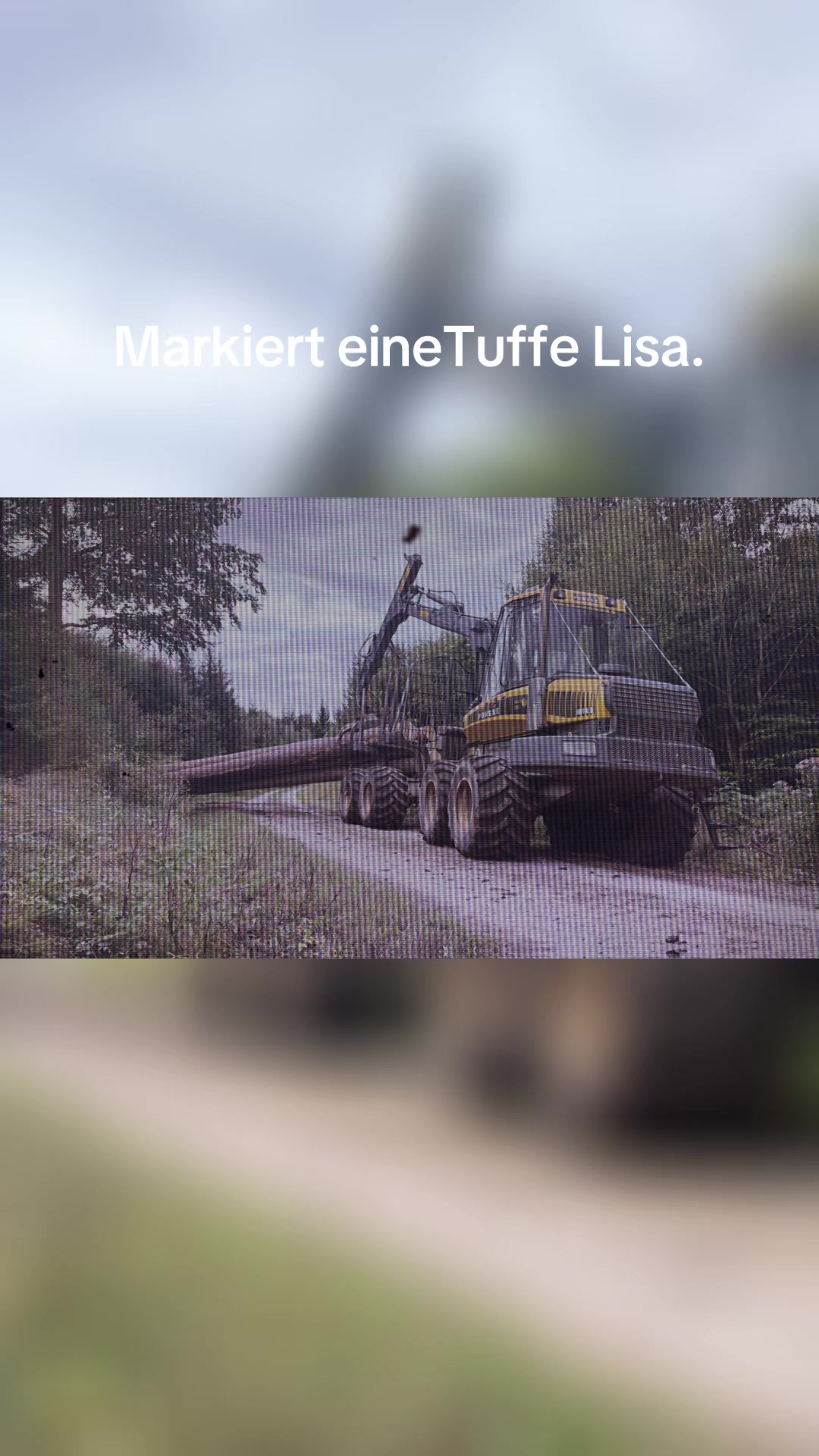 @Forstwirtschaft