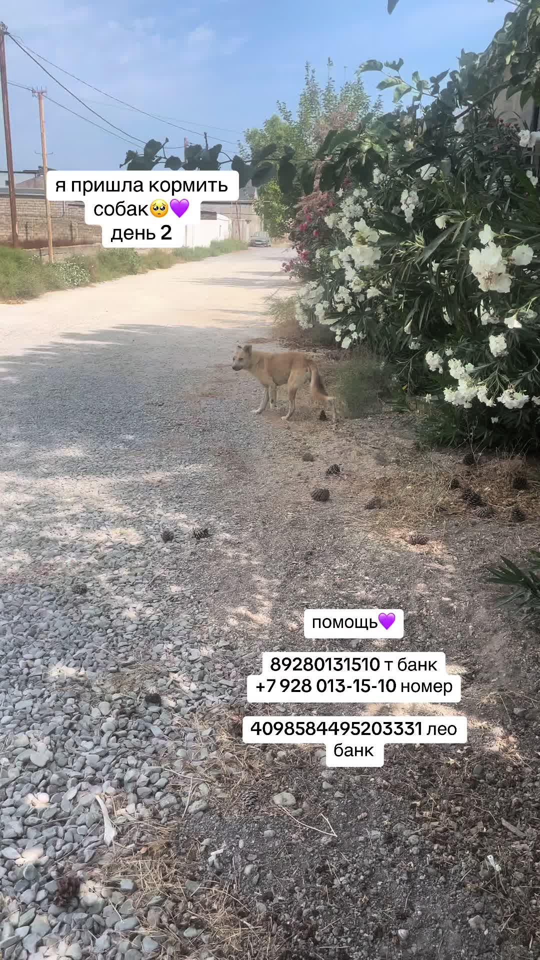 @шира💜 [687] [354] [457] [563]