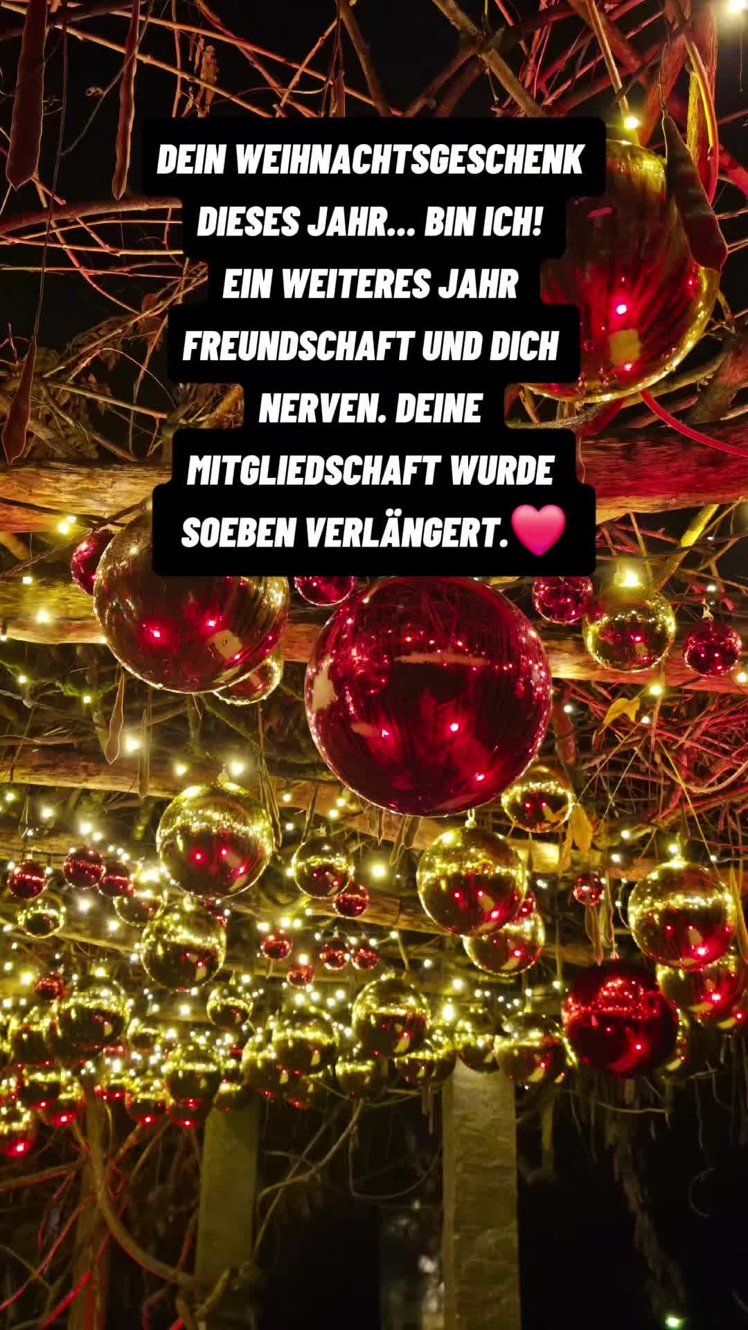 @☆Nickymaus☆