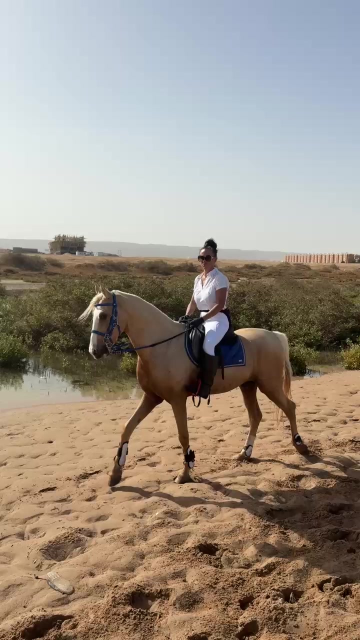 @monalisa_stable