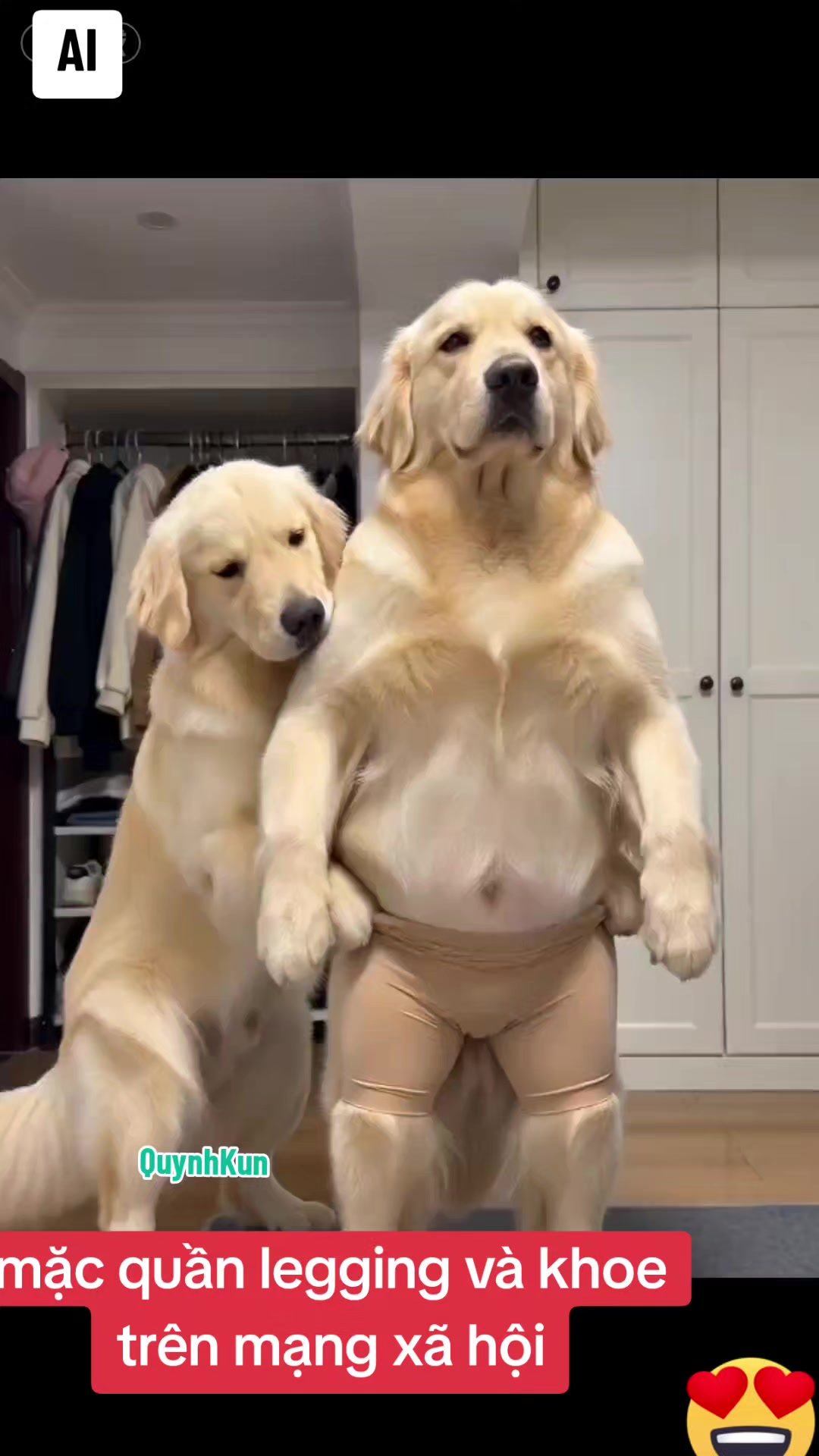 @QuynhKun