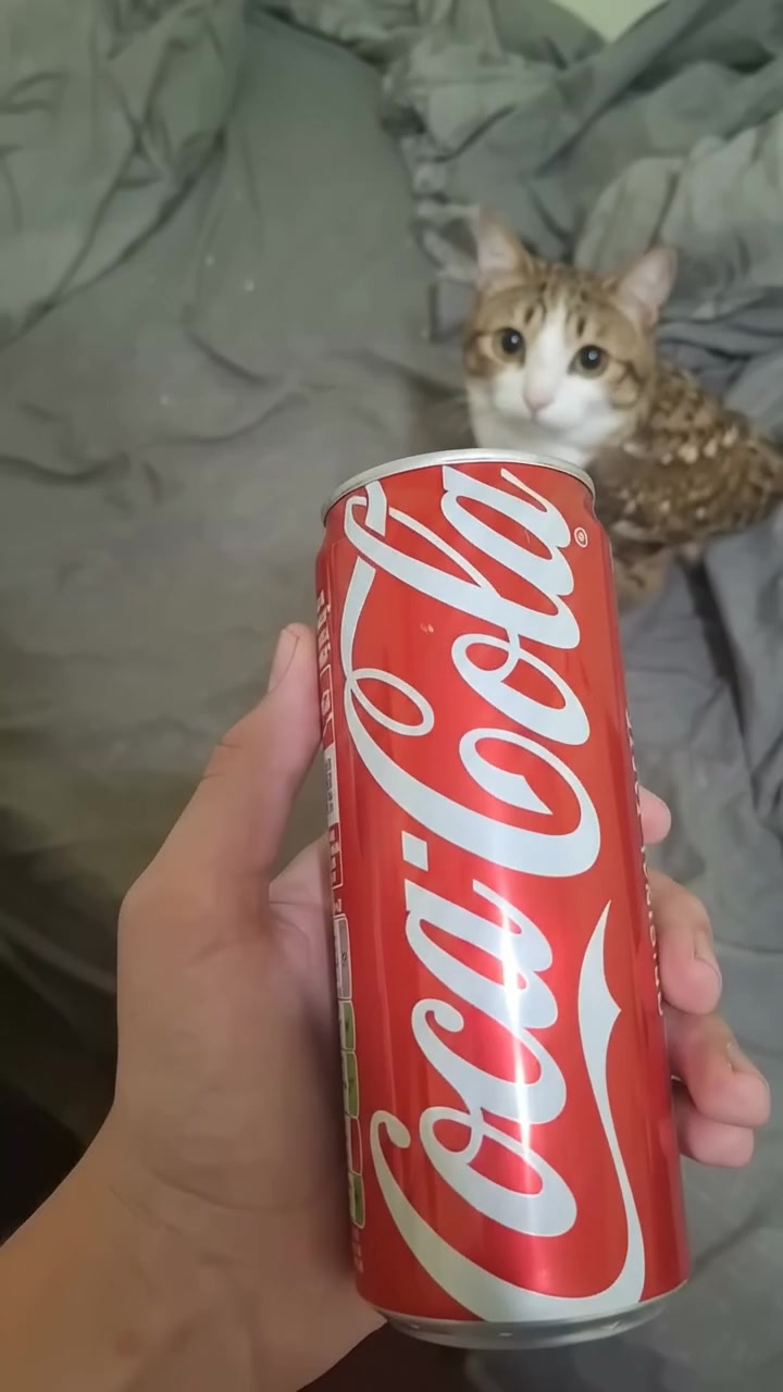 @meowl