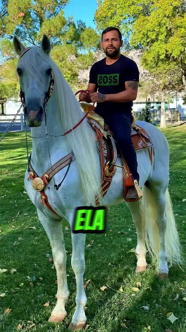 @Márcio greyck