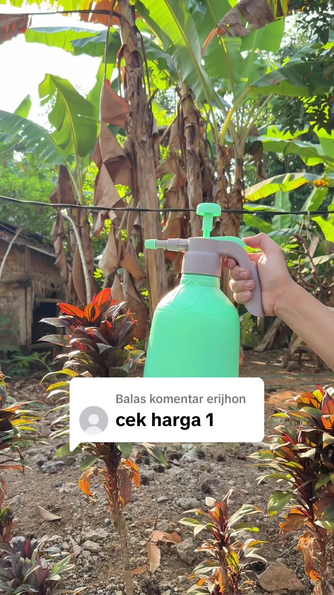@Cepmuslih2711