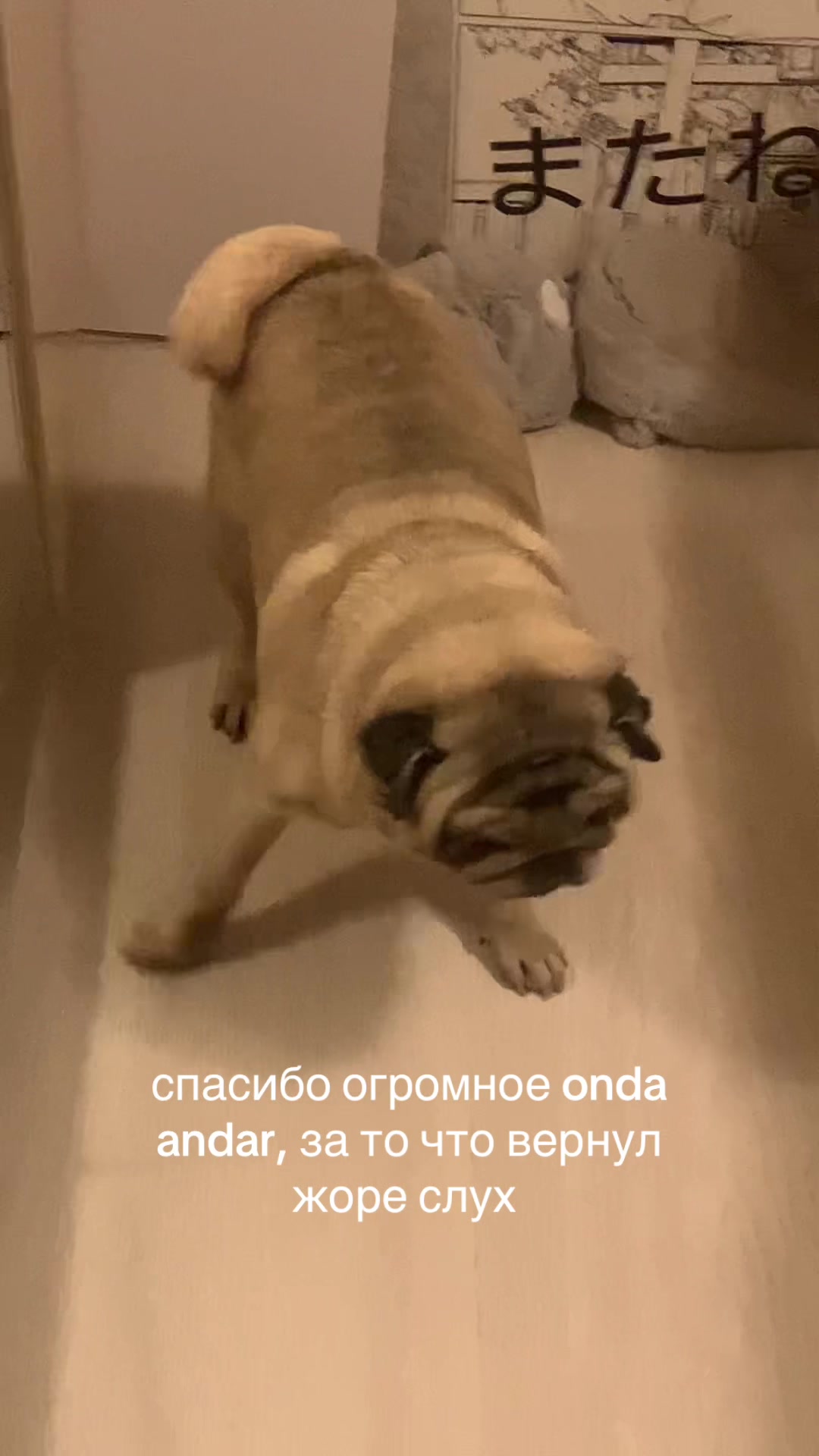 @Тру: ЖоРкА