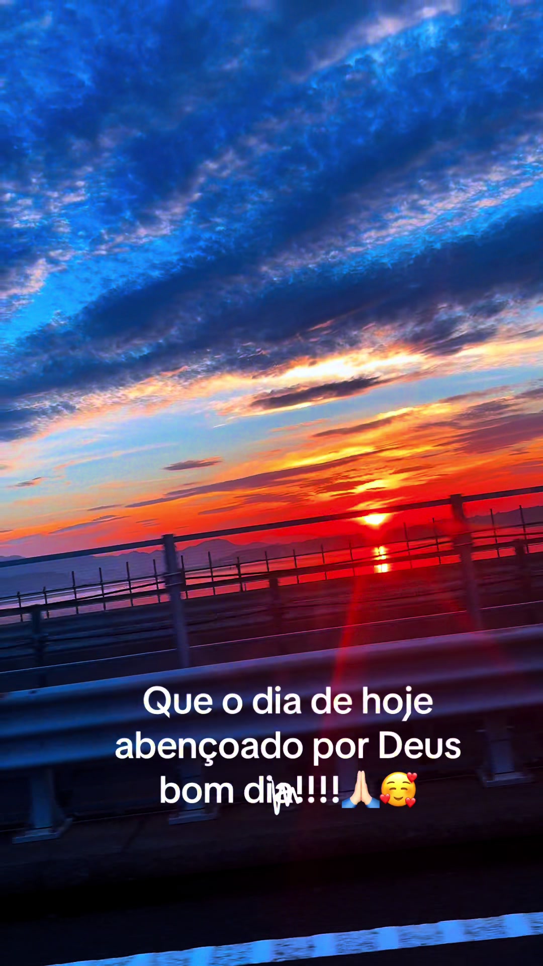 @Carol.JP