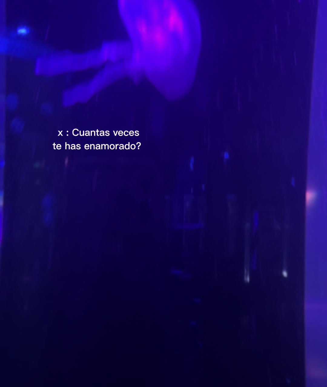 @lupita001