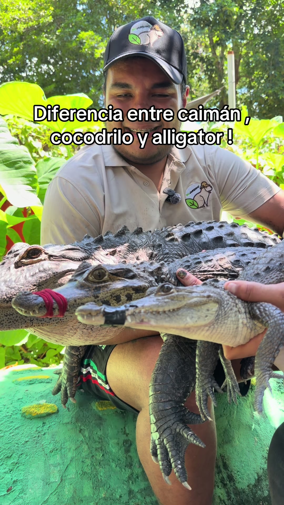 @Jair Herrera 🐆