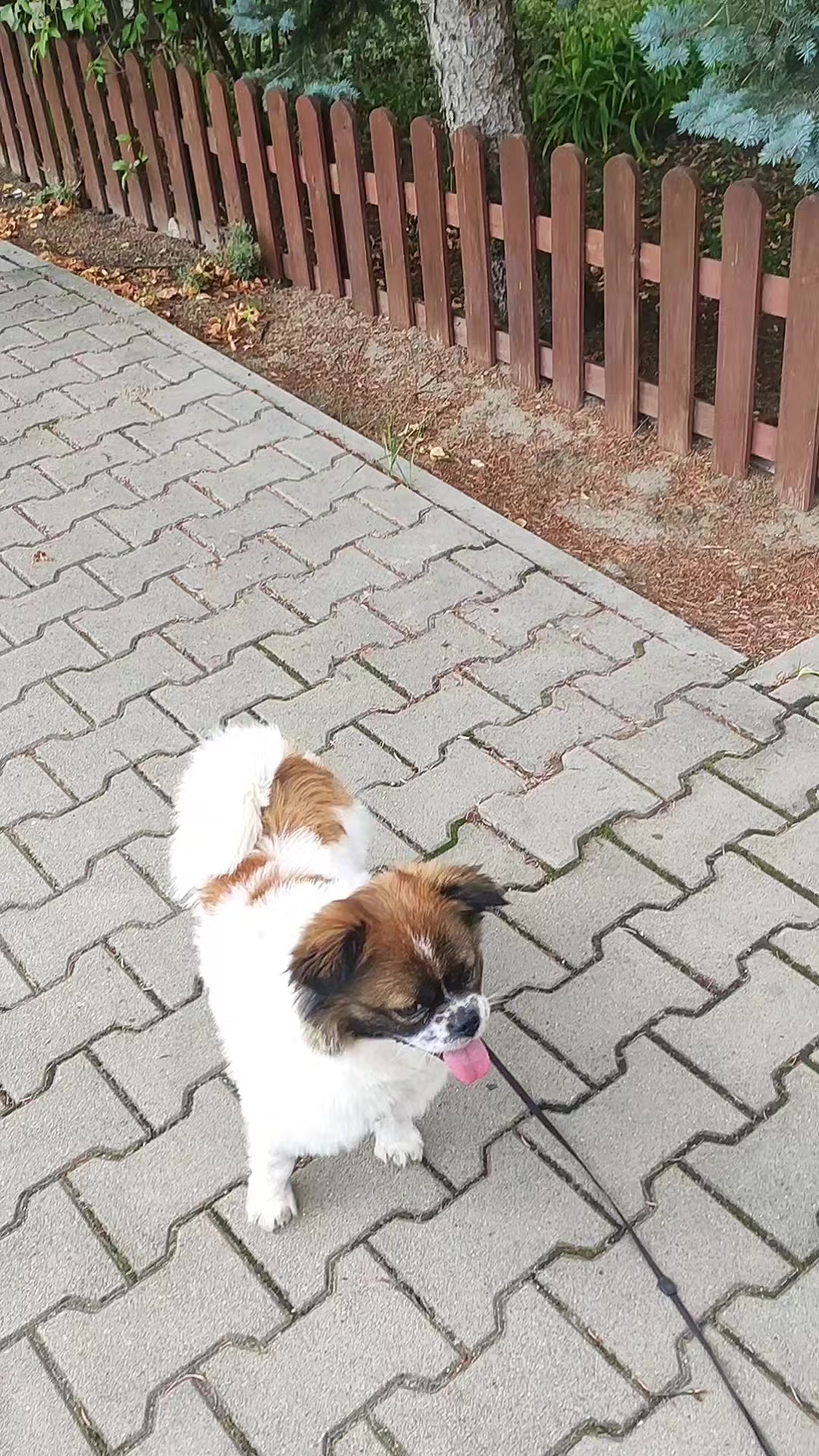 @Николаевич