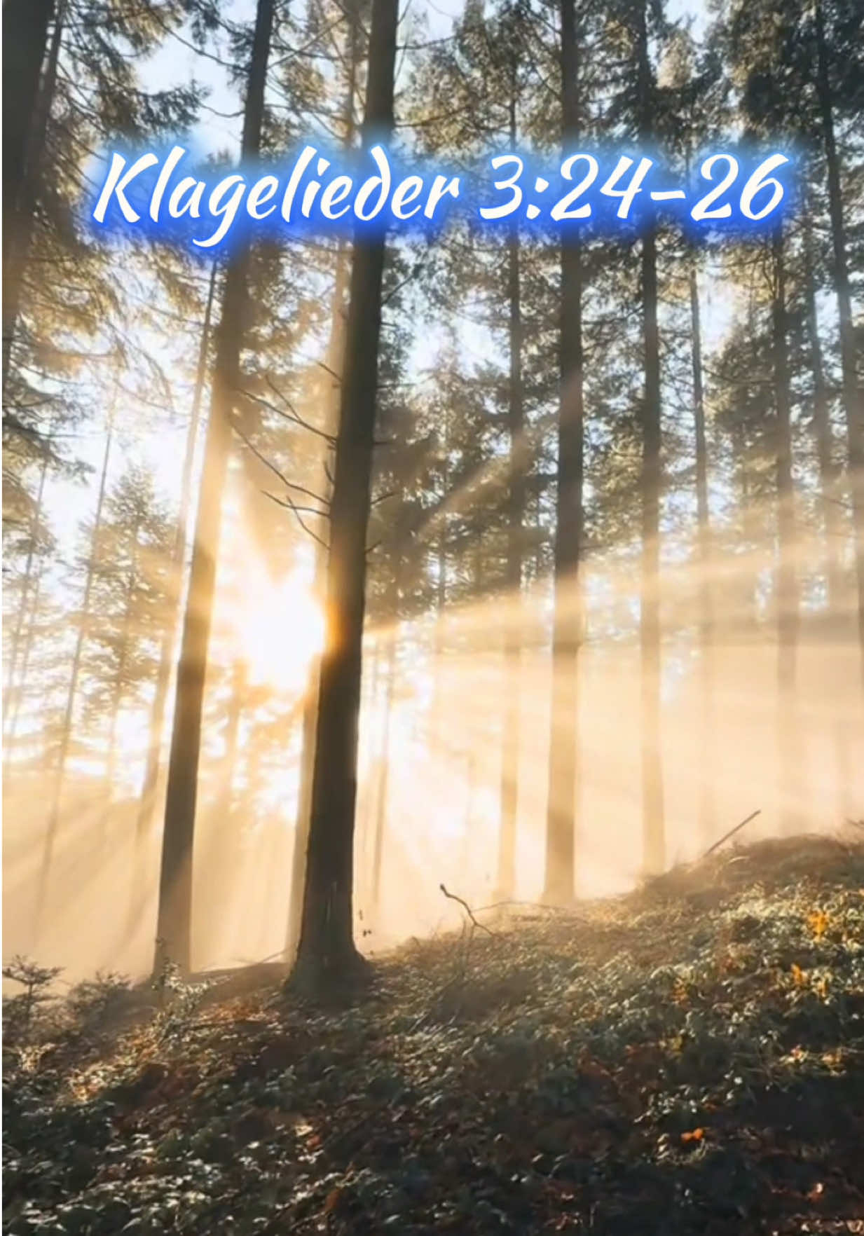 @✝️Verse aus der Bibel✝️