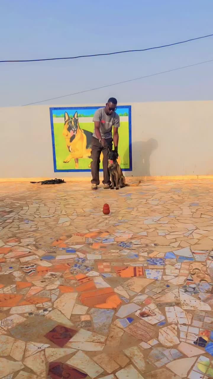 @G.I.C.N 🇸🇳🐾Ma&icirc;tre Weuz🐕&zwj;🦺