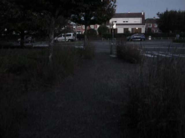 @ֶָ֢