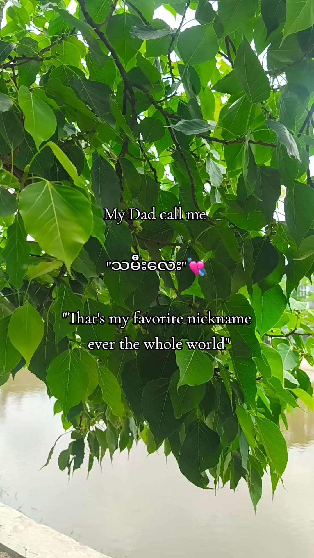 @Y🍷