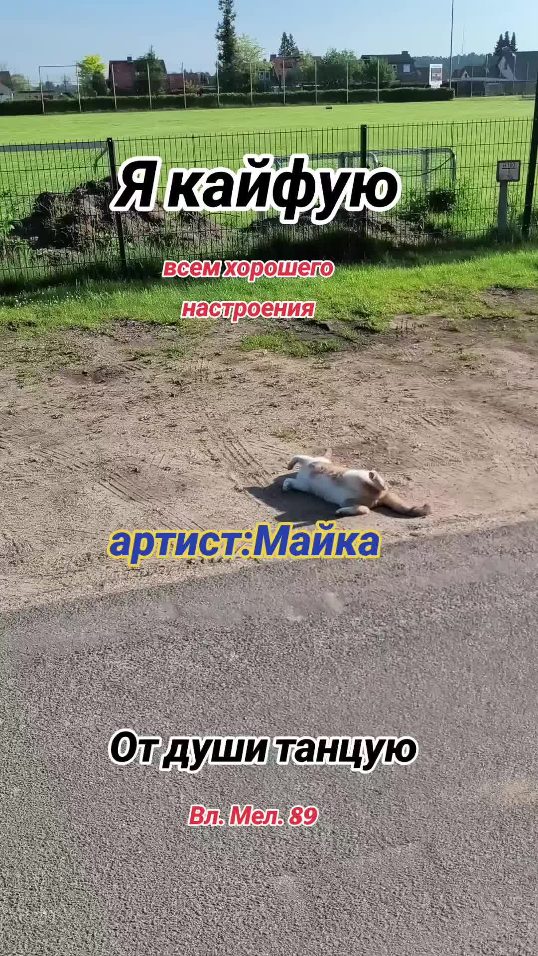 @Вл.Мел.89 🎶 Wladimir. M