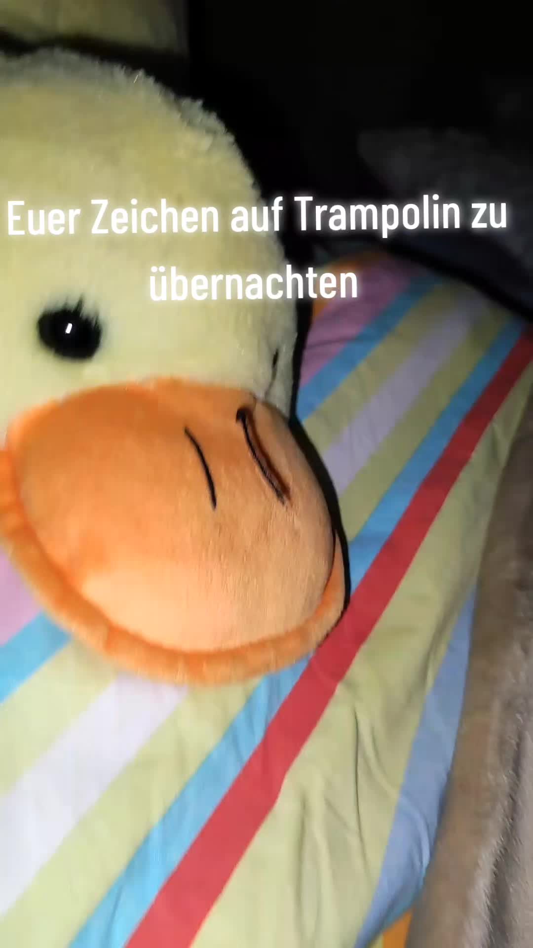 @Lena🦆