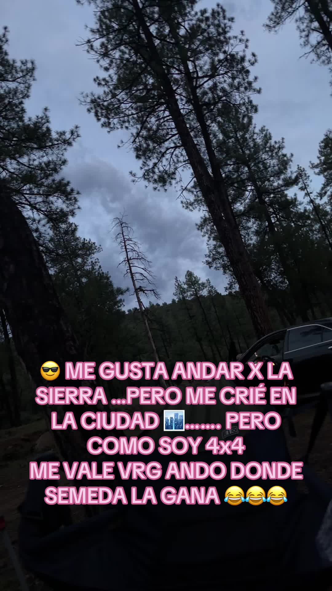@✨🌺BETTYMARQUEZ🌺✨