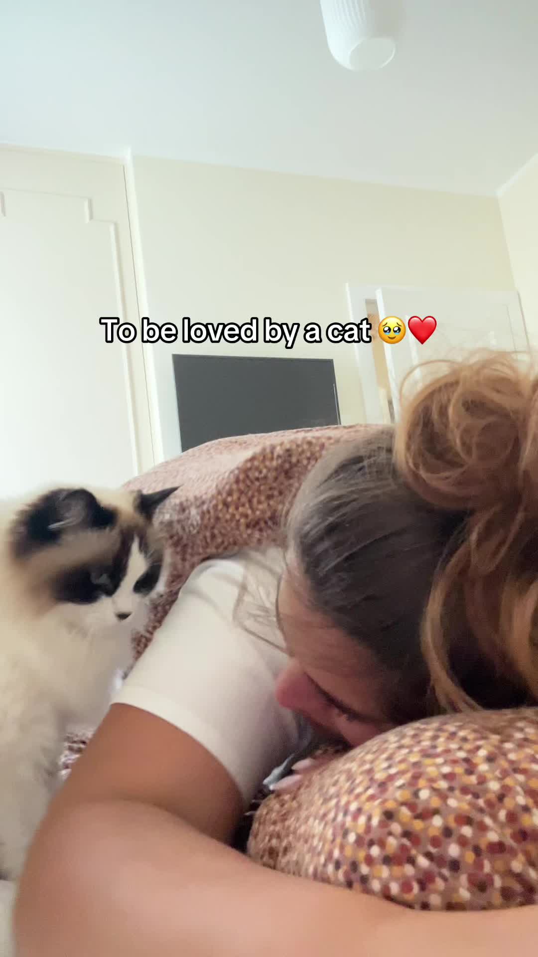 @claudiseee