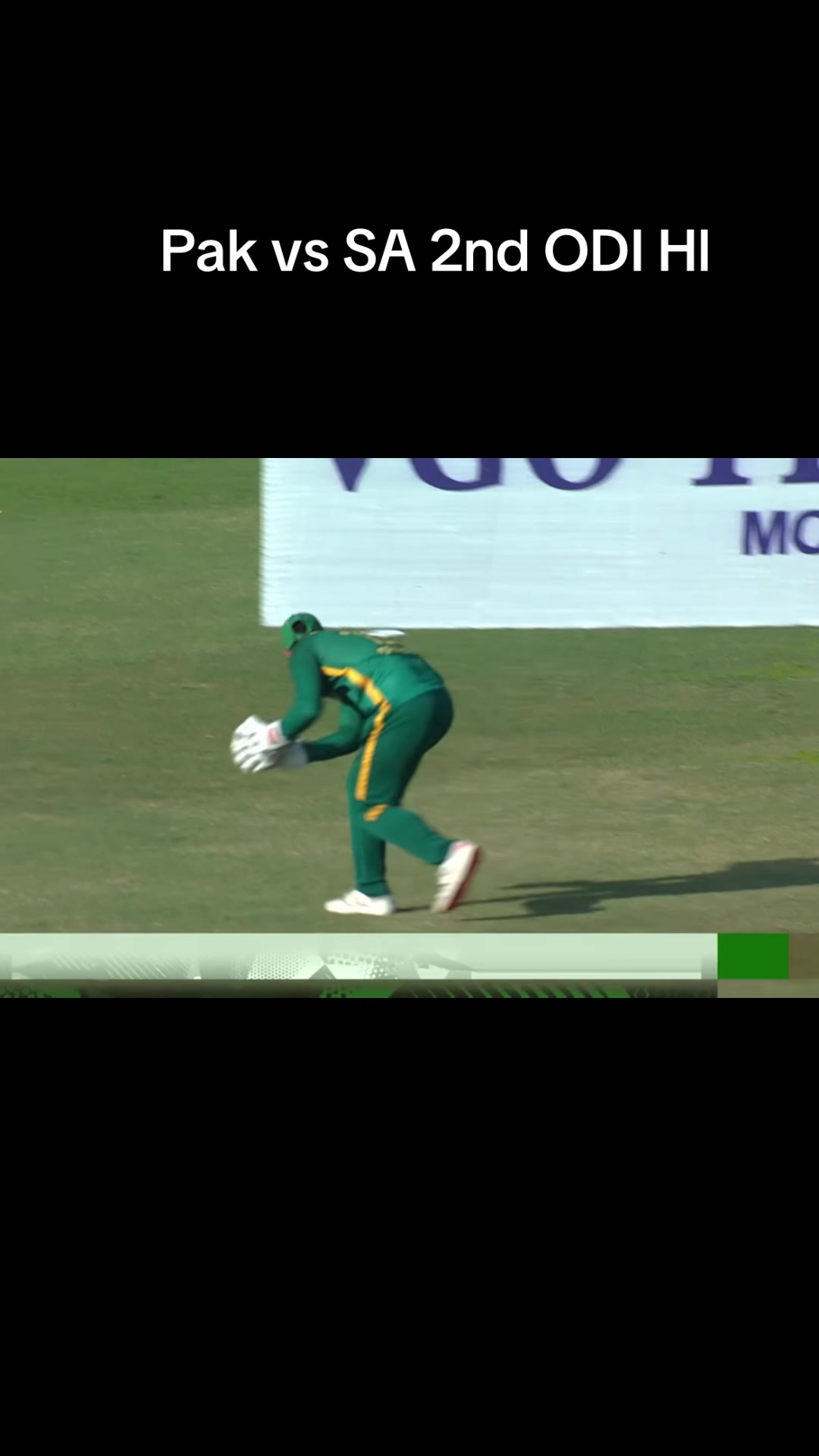 @cricketparadise