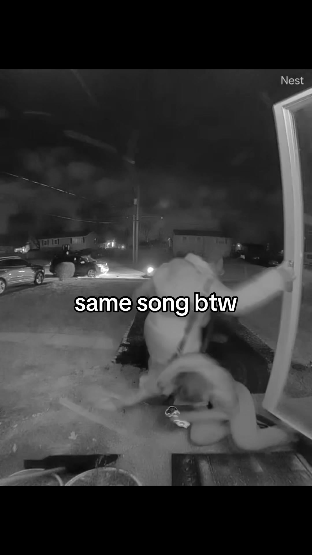 @Mo