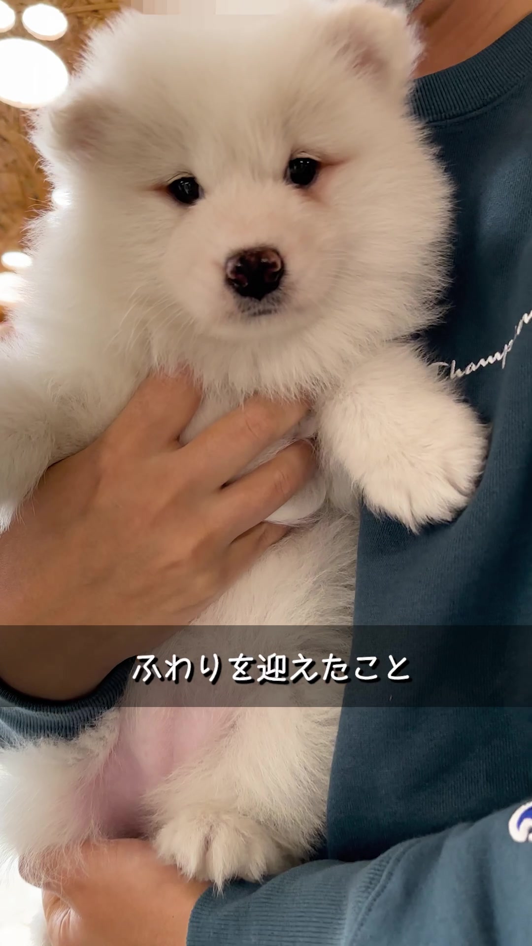 @とろふわ