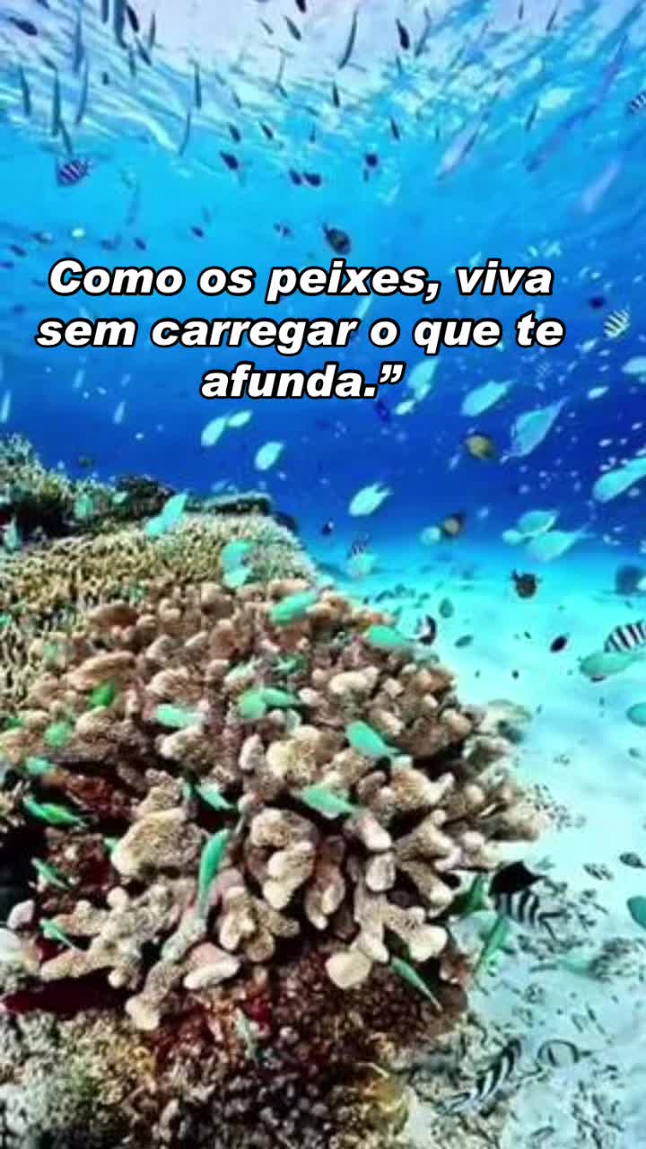 @Tati Lader
