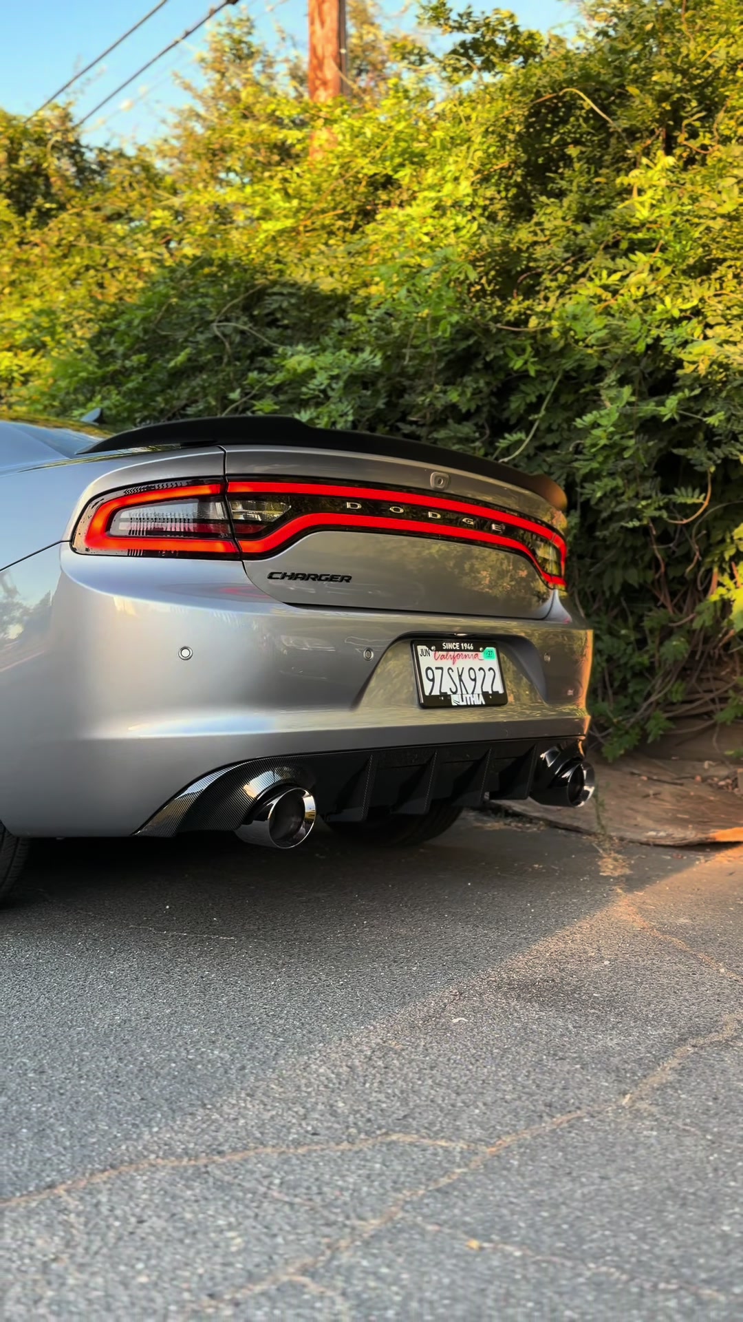 @HailsRt 🩶