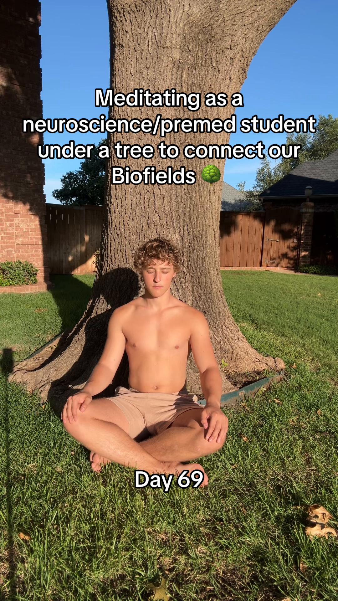 @brandonsbrainwave