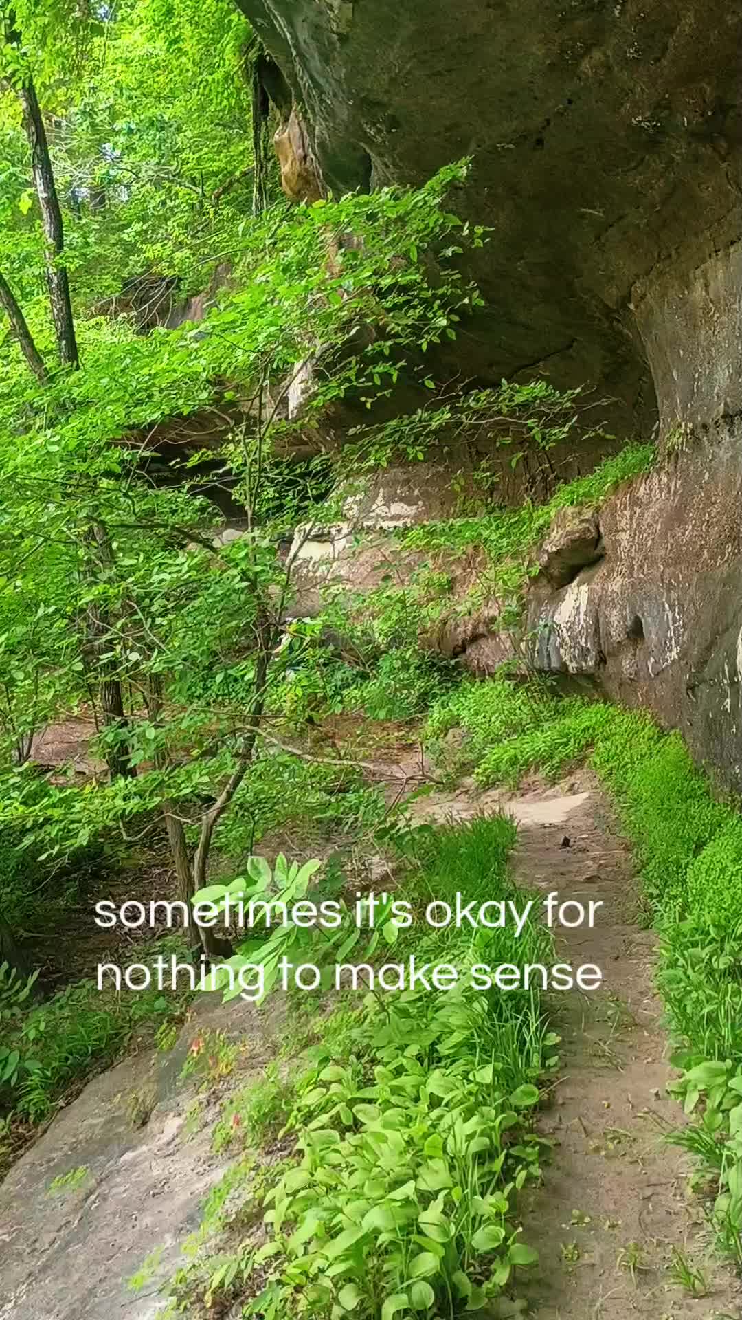 @DakotaD | the scenic gardener