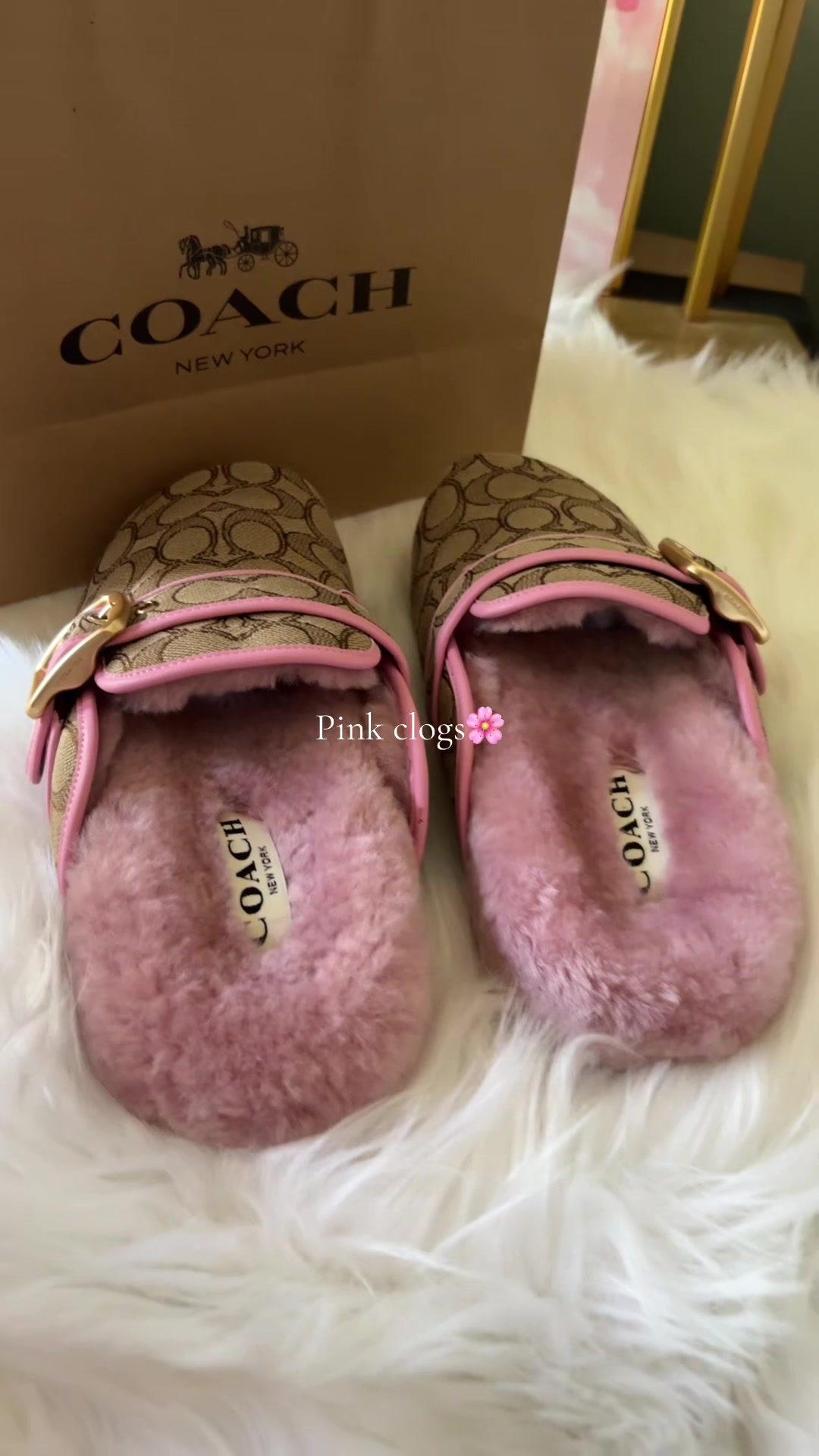 @EmilyShop