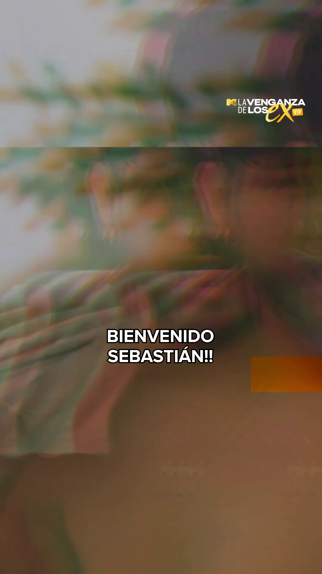 @La Venganza de los Ex VIP